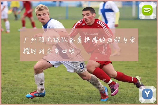 广州羽毛球队奋勇拼搏的历程与荣耀时刻全景回顾