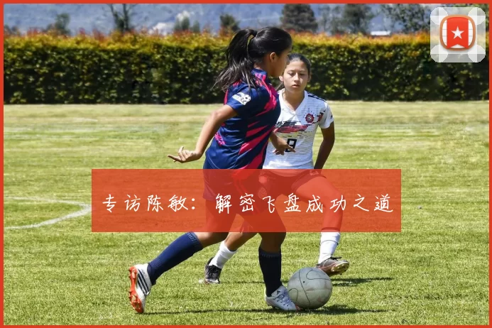 专访陈敏：解密飞盘成功之道