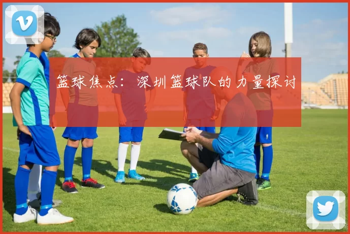 篮球焦点：深圳篮球队的力量探讨
