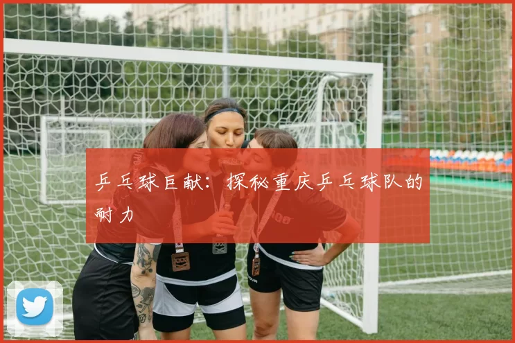 乒乓球巨献：探秘重庆乒乓球队的耐力