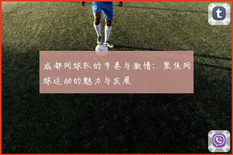 成都网球队的节奏与激情：聚焦网球运动的魅力与发展